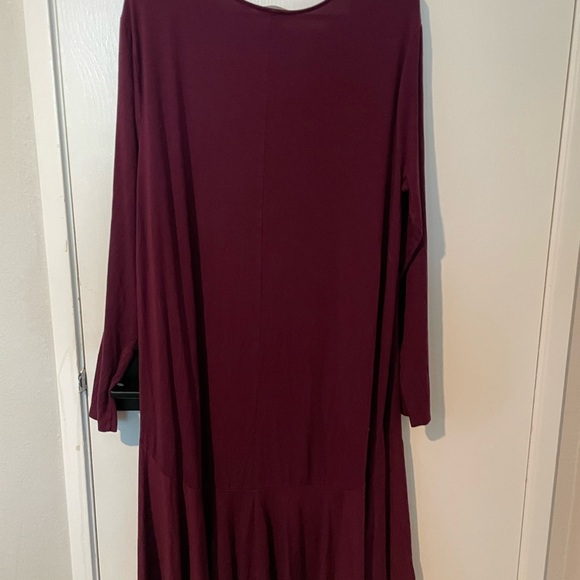 Terra & Sky Deep Burgundy Long Sleeve Dress - Picture 4 of 4